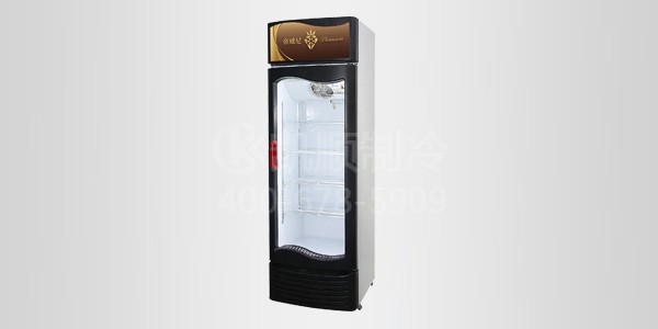 单门风冷饮料展示柜（ab01)